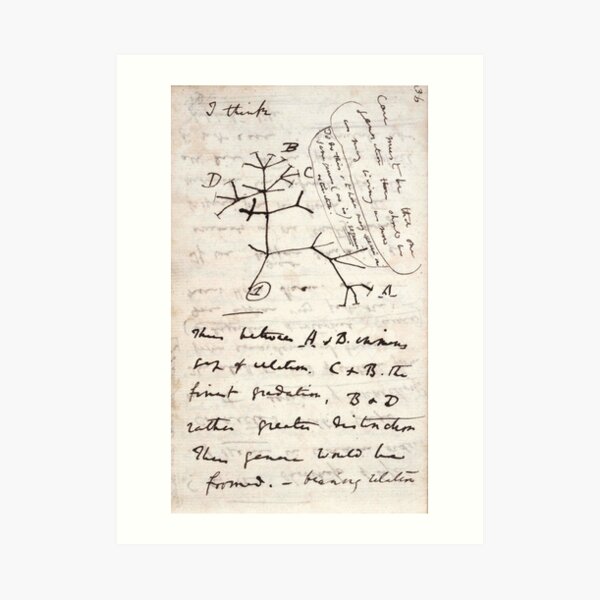 I Think - Charles Darwin 1 Art Print