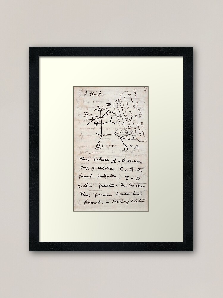 Alternate view of I Think - Charles Darwin 1 Framed Art Print