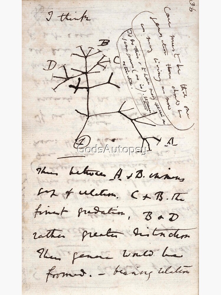 Thumbnail 3 of 3, Poster, I Think - Charles Darwin 1 designed and sold by GodsAutopsy.