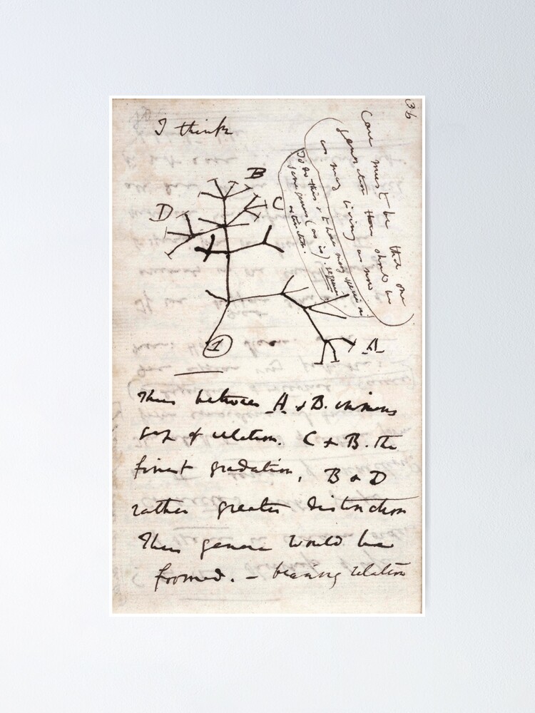 Thumbnail 2 of 3, Poster, I Think - Charles Darwin 1 designed and sold by GodsAutopsy.