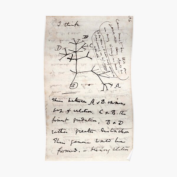 I Think - Charles Darwin 1 Poster