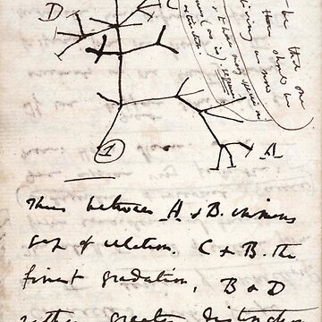 Artwork thumbnail, I Think - Charles Darwin 1 by GodsAutopsy