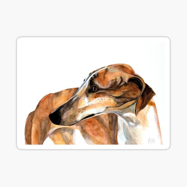 Greyhound - Galgo Espanol Sticker