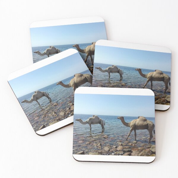 Item preview, Camels are in the Red Sea, Dahab, Egypt designed and sold by Osama-Hamdi.