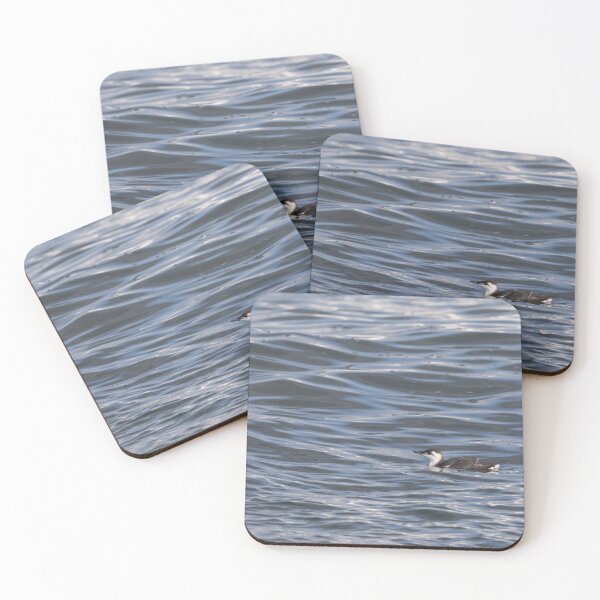 Item preview, Common Murre designed and sold by Calidris Fotografie Steffi & Ben Köppler.