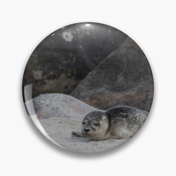 Item preview, Common Seal designed and sold by Calidris Fotografie Steffi & Ben Köppler.