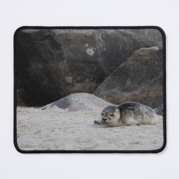 Item preview, Common Seal designed and sold by Calidris Fotografie Steffi & Ben Köppler.