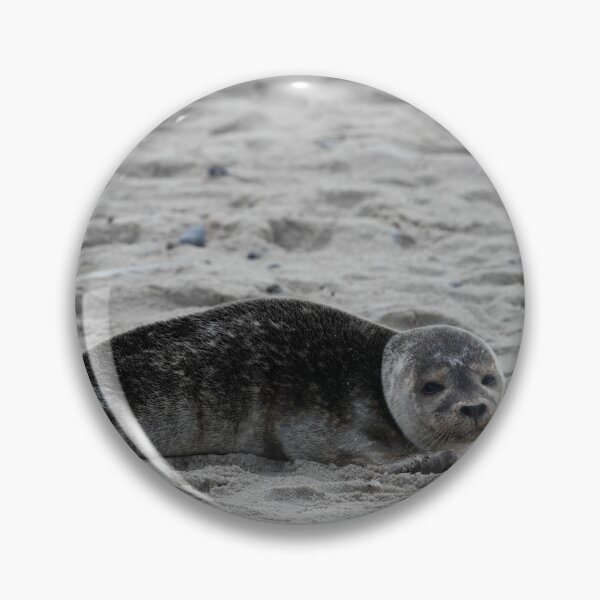 Item preview, Common Seal designed and sold by Calidris Fotografie Steffi & Ben Köppler.