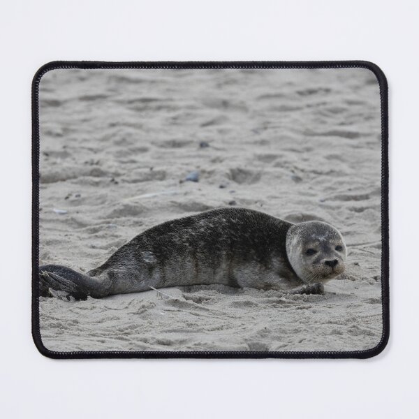 Item preview, Common Seal designed and sold by Calidris Fotografie Steffi & Ben Köppler.