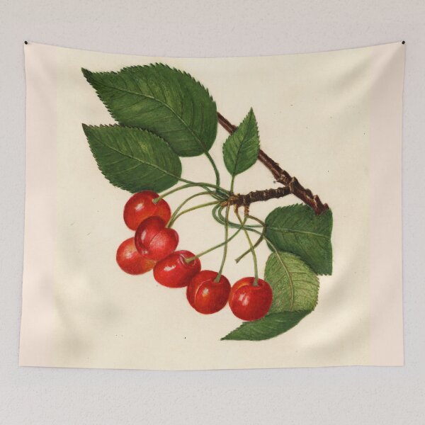 Item preview, Vintage Illustration of a Cherries  designed and sold by BravuraMedia.