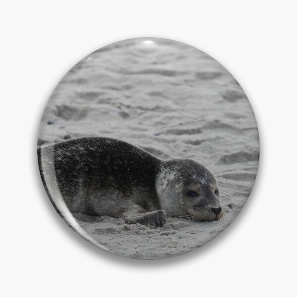 Item preview, Common Seal designed and sold by Calidris Fotografie Steffi & Ben Köppler.