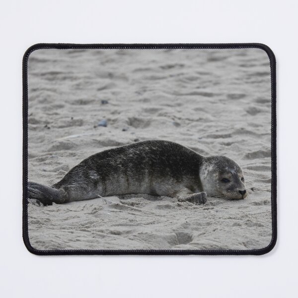 Item preview, Common Seal designed and sold by Calidris Fotografie Steffi & Ben Köppler.