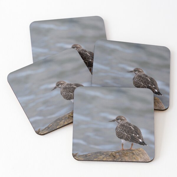 Item preview, Ruddy Turnstone designed and sold by Calidris Fotografie Steffi & Ben Köppler.