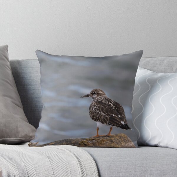 Item preview, Ruddy Turnstone designed and sold by Calidris Fotografie Steffi & Ben Köppler.