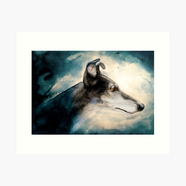 Greyhound - Galgo Espanol Art Print