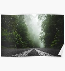 Misty Otway Forest Poster