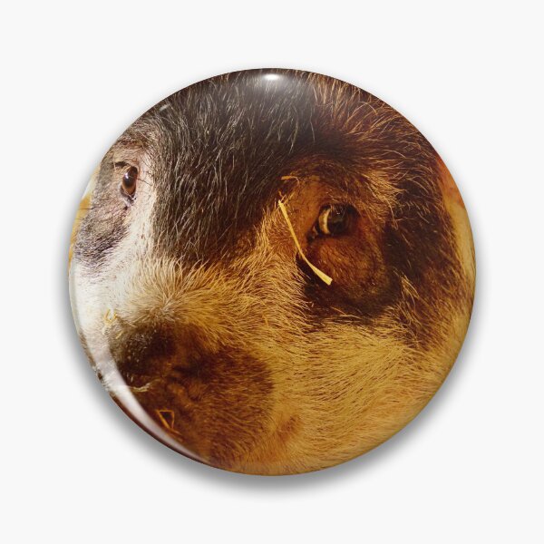 Item preview, woolly pig designed and sold by Sturmlechner.