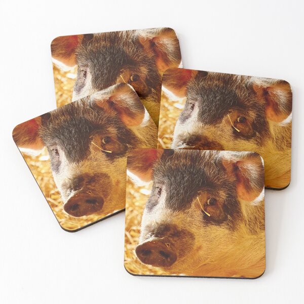 Item preview, woolly pig designed and sold by Sturmlechner.