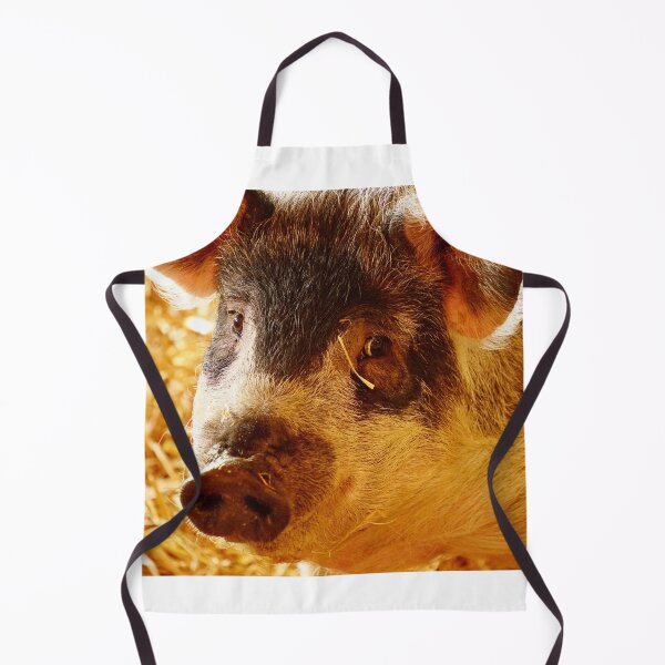 Item preview, woolly pig designed and sold by Sturmlechner.