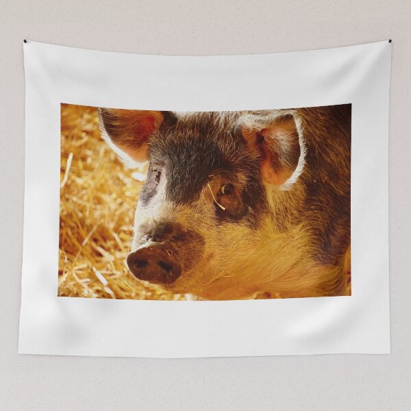 Item preview, woolly pig designed and sold by Sturmlechner.