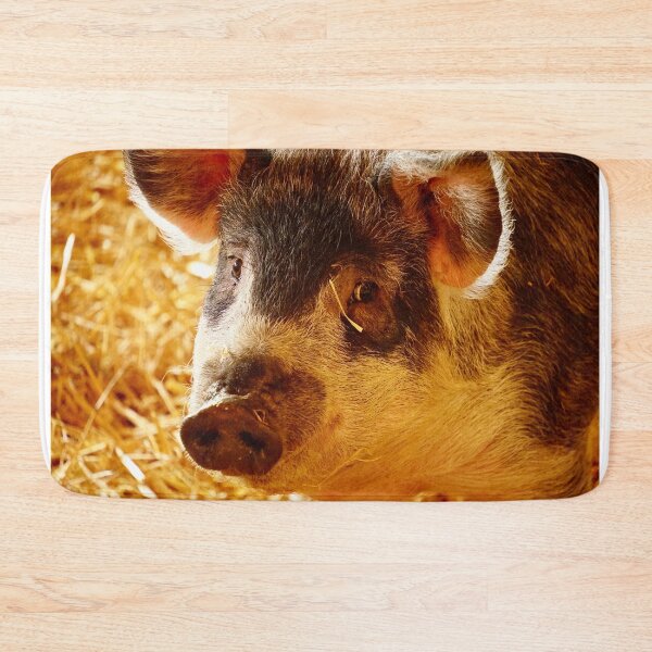 Item preview, woolly pig designed and sold by Sturmlechner.