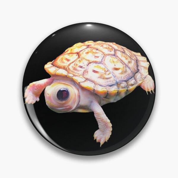 Item preview, I see you designed and sold by Time4Turtles.