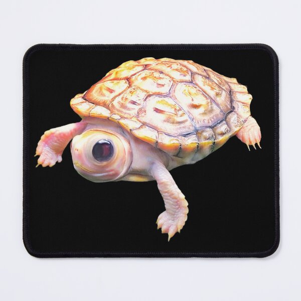 Item preview, I see you designed and sold by Time4Turtles.