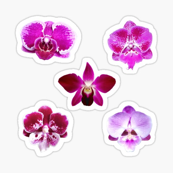 Item preview, Set of 5 orchids- MAGENTA designed and sold by ArteAnnie.