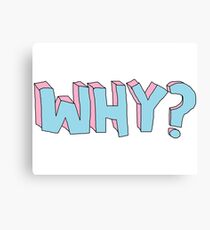 WHY ??? Canvas Print