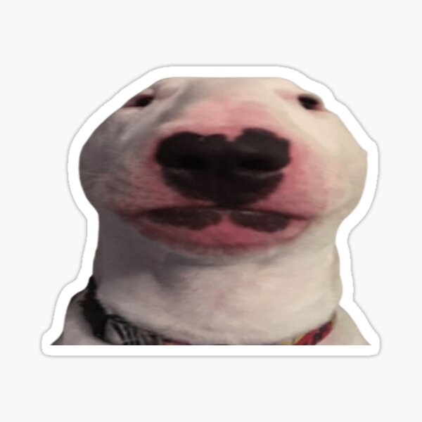 Item preview, Walter dog mem designed and sold by MAHMOUR.