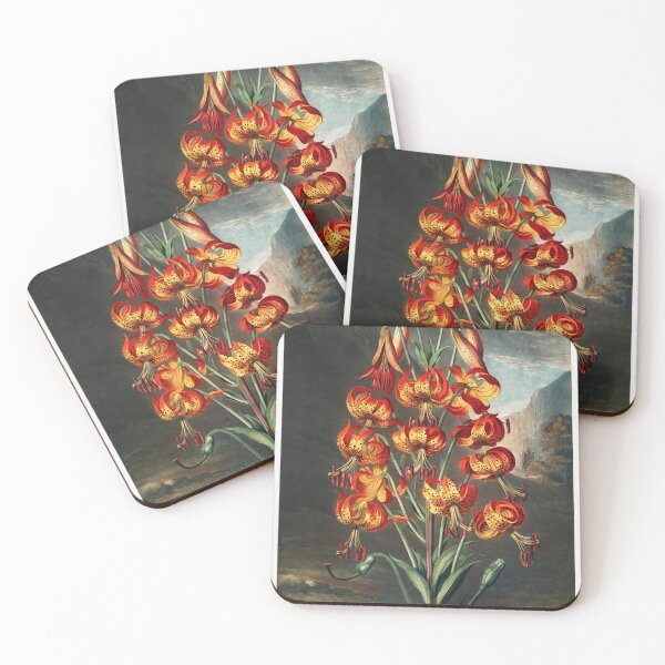 Item preview, The Superb Lily from The Temple of Flora (1807) by Robert John Thornton designed and sold by Suzana Djordjevic.
