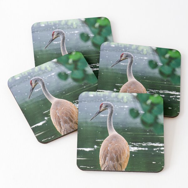 Item preview, Sandhill Crane on the Pond designed and sold by Been2Canaan.