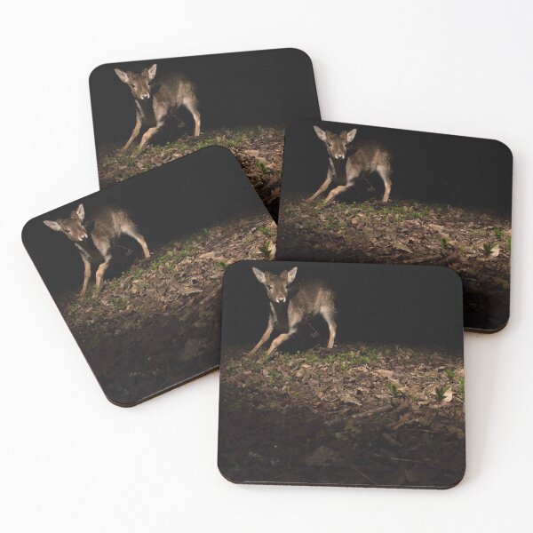 Item preview, Fallow Deer designed and sold by MTPhotos1406.