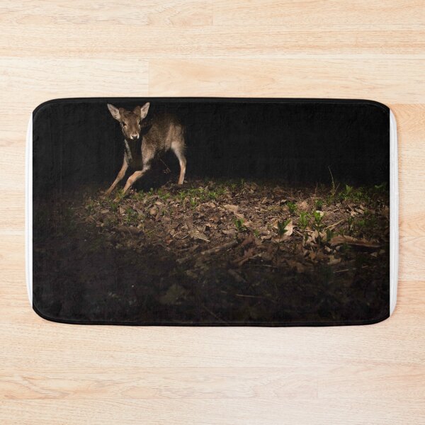 Item preview, Fallow Deer designed and sold by MTPhotos1406.