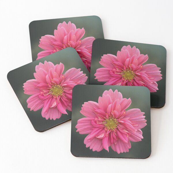 Item preview, Pinky Flower with Macro Details  designed and sold by Floralsrose.