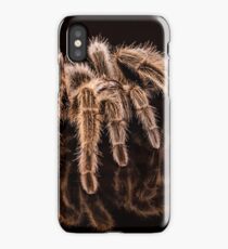 Tarantula iPhone Case