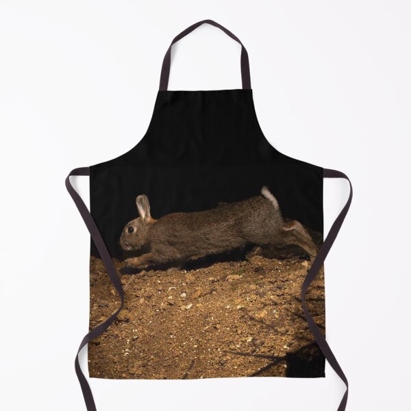 Item preview, Rabbit designed and sold by MTPhotos1406.