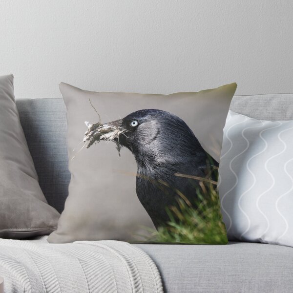 Item preview, Nesting Jackdaw designed and sold by GreyFeatherPhot.