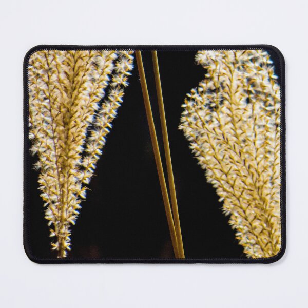 Item preview, Seeds of Gold designed and sold by Been2Canaan.