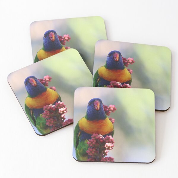 Item preview, Lorikeet 1 designed and sold by Squirrel2319.