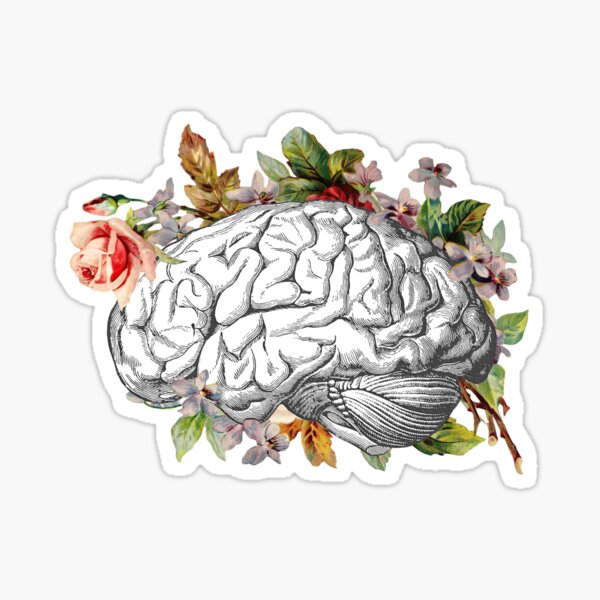 brain-sticker