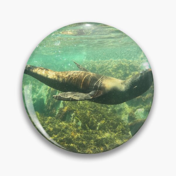 Item preview, Sealion in the Sea lying designed and sold by Squirrel2319.