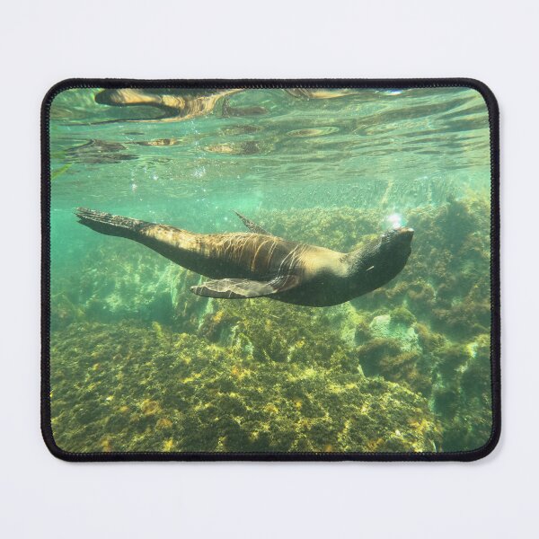 Item preview, Sealion in the Sea lying designed and sold by Squirrel2319.