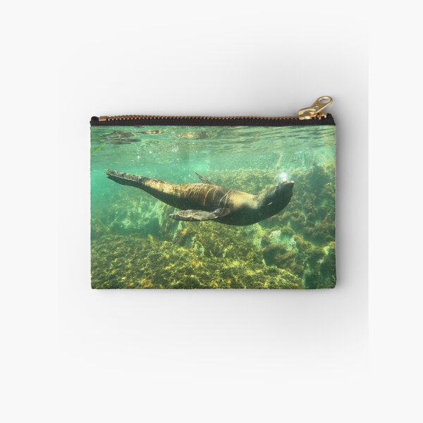 Item preview, Sealion in the Sea lying designed and sold by Squirrel2319.