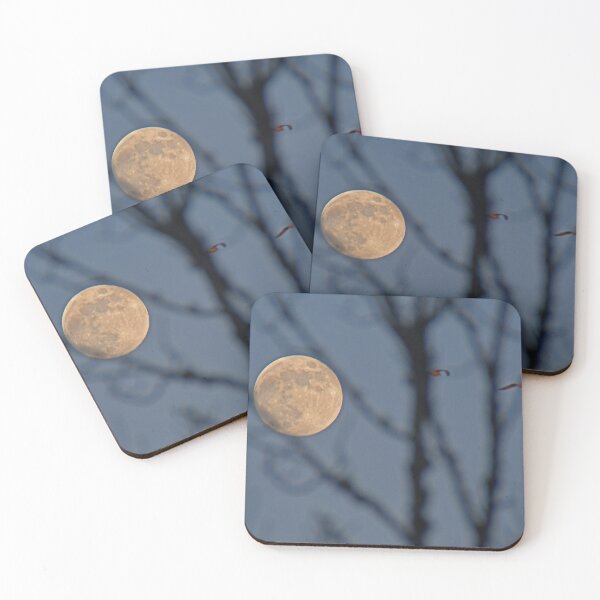 Item preview, Christmas Moon ... in the trees designed and sold by Poete100.