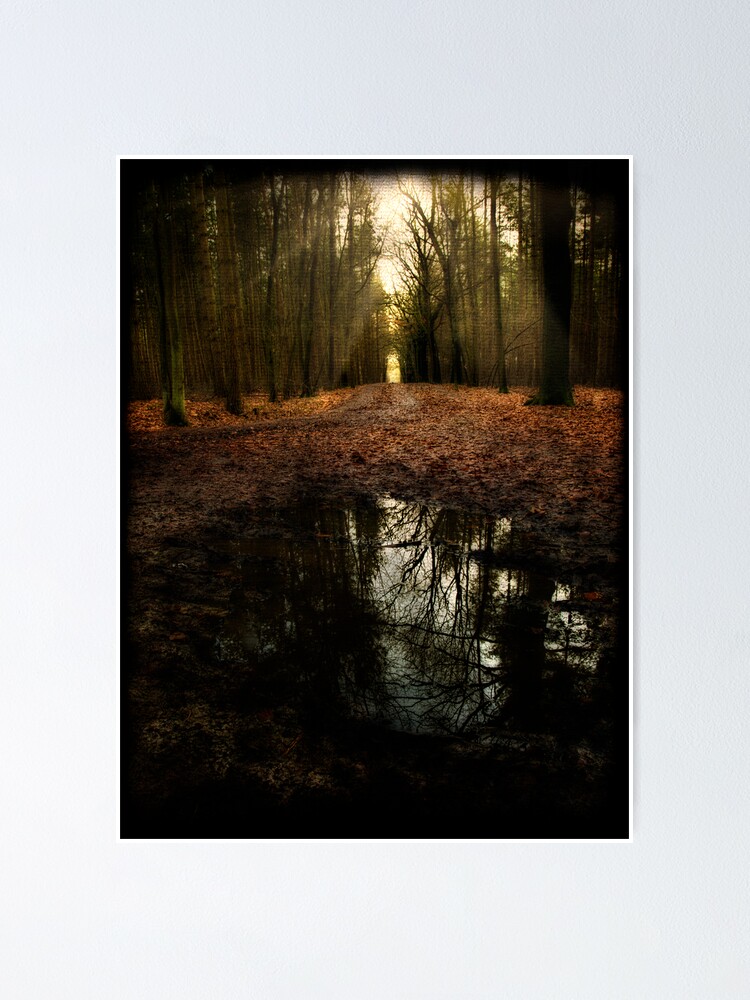 Alternate view of go on Poster