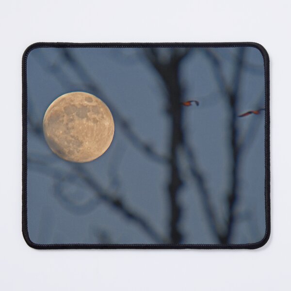 Item preview, Christmas Moon ... in the trees designed and sold by Poete100.