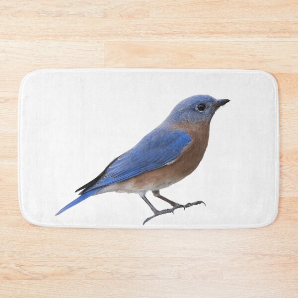 Item preview, Eastern Bluebird Isolated on White designed and sold by Bonnie T.  Barry.
