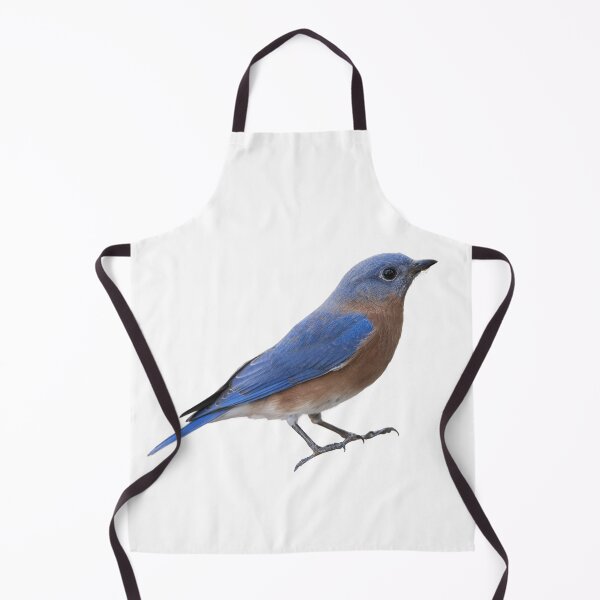 Item preview, Eastern Bluebird Isolated on White designed and sold by Bonnie T. Barry.