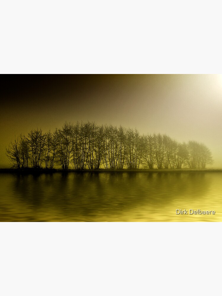 misty yellow by Delbaere